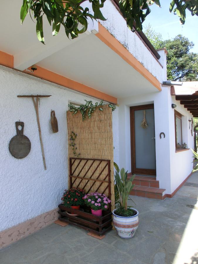 B&B La Palma Camporosso  Exterior photo